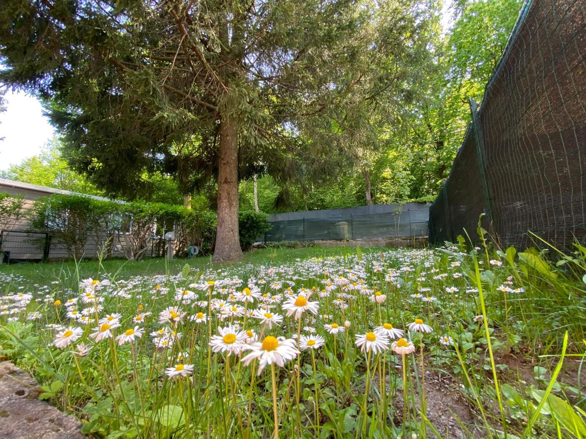 Camping Montorfano Bagian luar foto